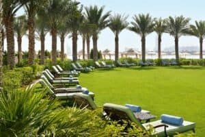 a row of lounge chairs in a grassy area